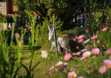 Apartments Siska, Rab  - Gallery