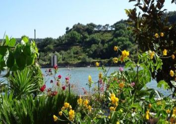 Apartments Siska, Rab  - Gallery
